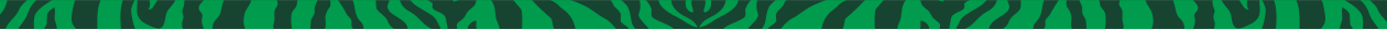 Image header